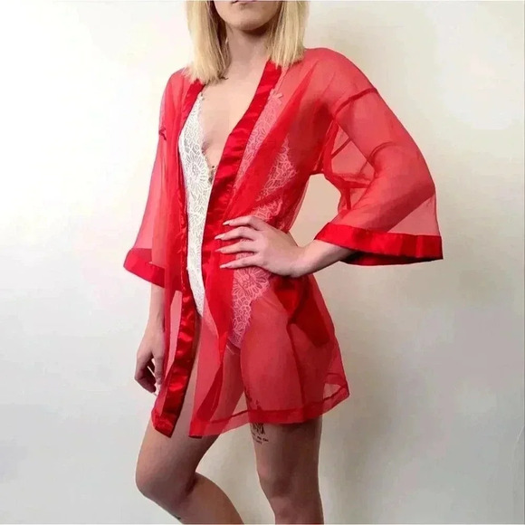 Vintage 60’s Chiffon Sheer Boudoir Pin Up Cover Nightie - Picture 1 of 6